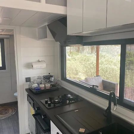 Holiday home Lovin Goecek&tiny House Olive Kertmec